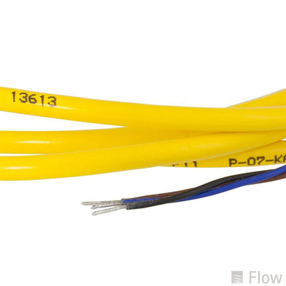 3-Pin Cordset Single Ended; Straight Female 2 Meters Long